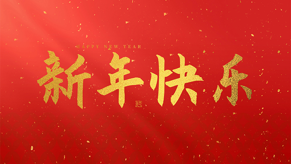 麗水市威儀自動(dòng)化技術(shù)有限公司祝全國人民2025新年快樂！